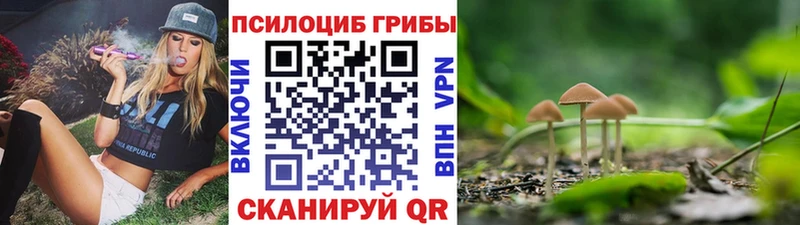 Галлюциногенные грибы мицелий  Александровск-Сахалинский 